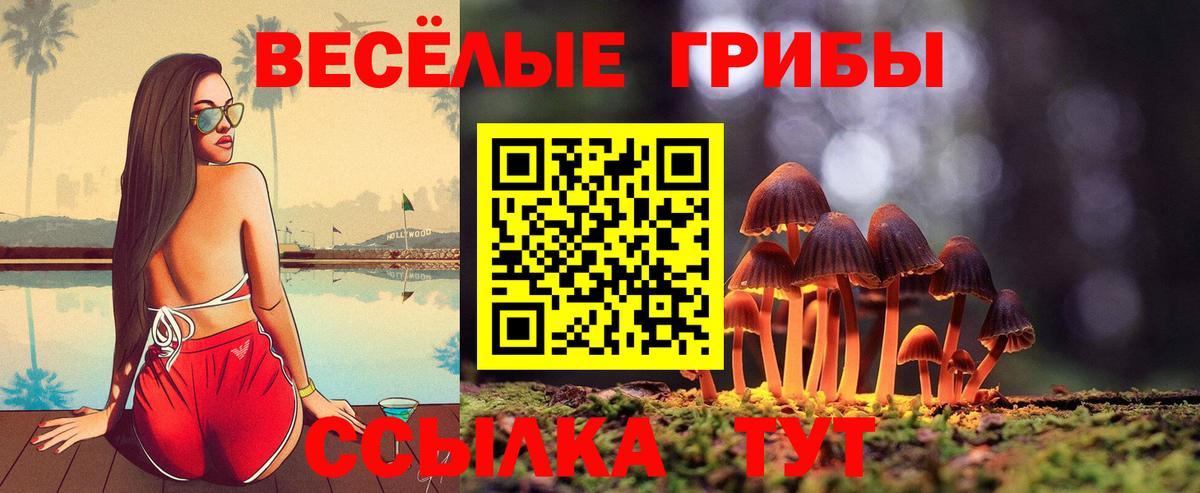 Симферополь  Псилоцибиновые грибы ЛСД  Вход с VPN 