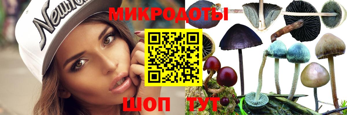 Галлюциногенные грибы мухоморы Симферополь